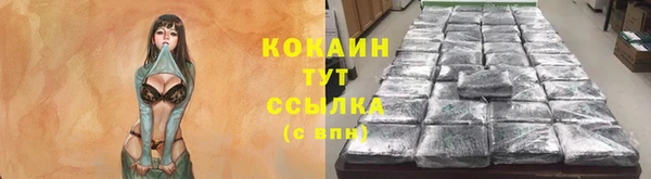 кокс Алзамай