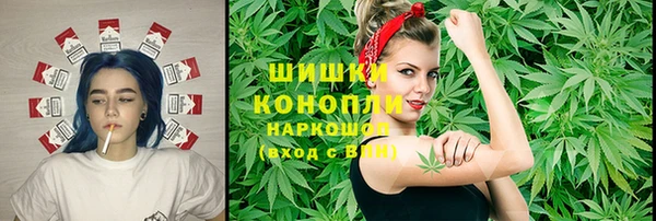 спайс Алексин