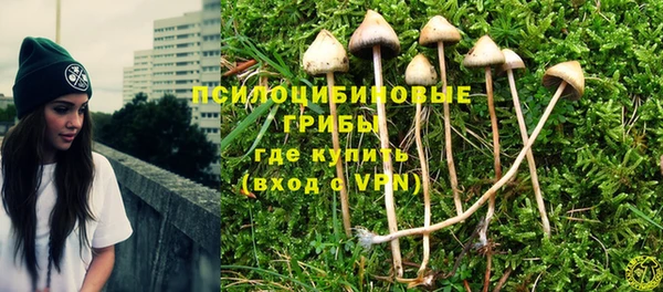 спайс Алексин