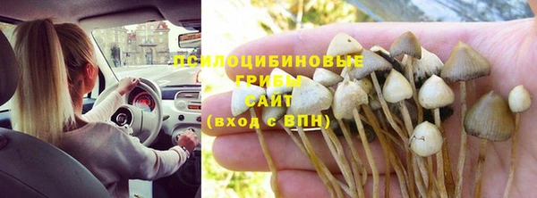 кокс Алзамай